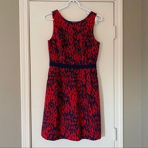 The Limited, Red and Navy Dress 👗